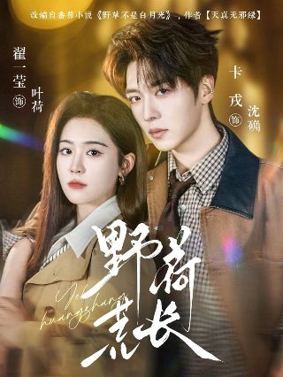 任长霞电视剧免费版