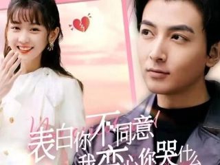 马向阳下乡记第5集在线观看免费