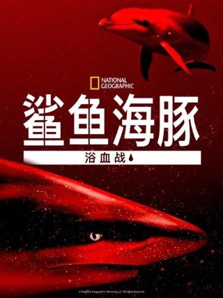 放羊的星星2 演员表介绍