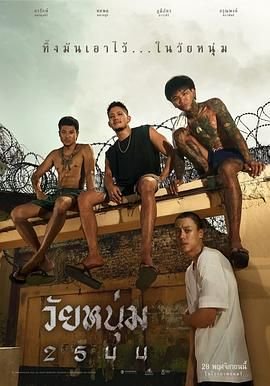 红高粱电视剧未删