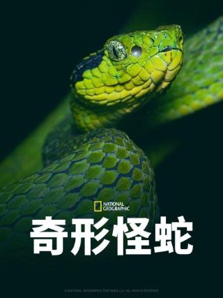 大腕演员表李成儒