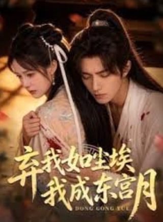 《单身指南》在线观看免费高清版