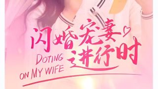 绿光森林电视剧全集观看下载免费
