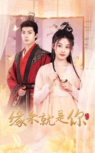永远在一起伴奏纯音乐