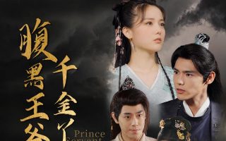 如意芳霏电视剧第一季剧情介绍