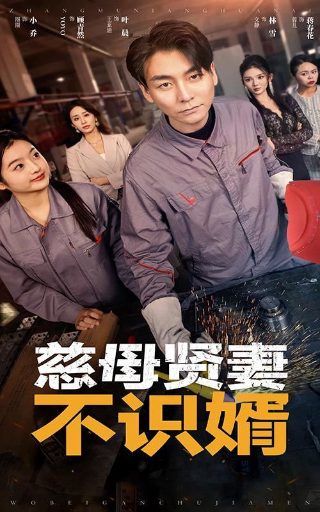 罗小黑战记在线全集
