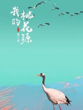 《情书》经典台词日语翻译英文版