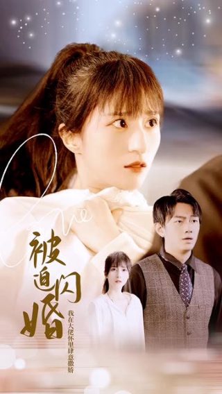 2014红楼梦诗情画意邮票一套多钱价格