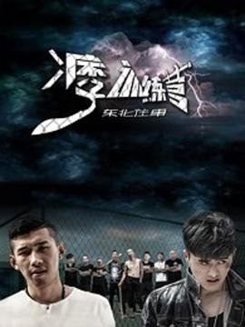 我不是神仙电视剧免费观看完整版高清下载