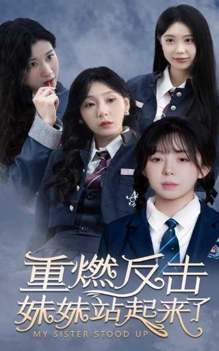 霹雳凤凰百度云下载资源网盘