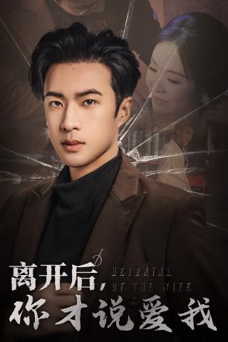 小英雄雨来动画视频故事