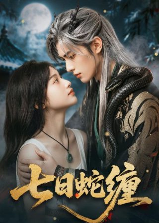 宋慈之红油纸伞免费观看