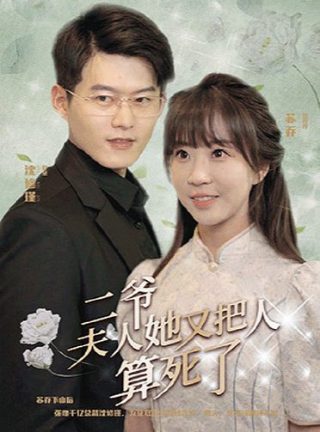 结婚当天我被妻子告上法庭短剧免费
