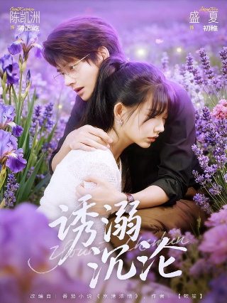 皇家骑士团 命运之轮