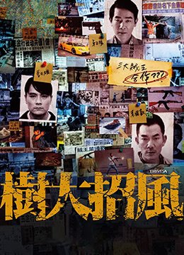 楚乔传电视剧第一季在线观看全集高清