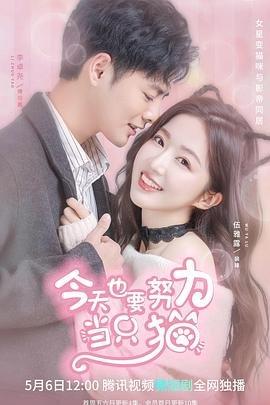 伺机电视剧剧情介绍大结局是什么名字
