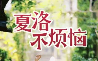 西游记动画11集