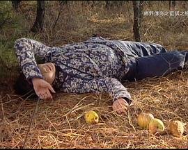 中国崛起的作文素材