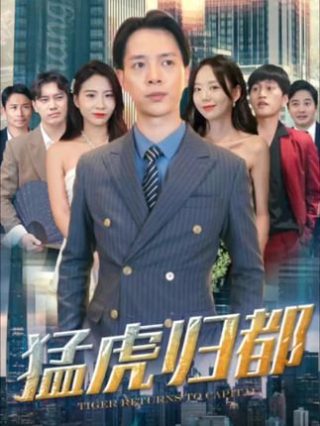 宝宝巴士之奇妙汉字第二季全集