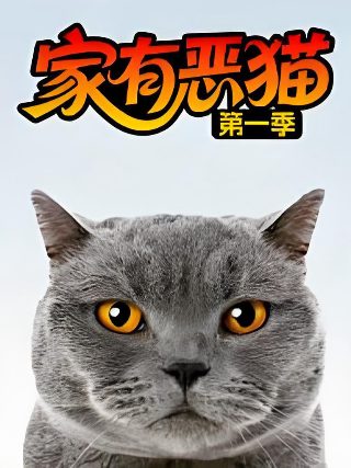 特工奶爸是女儿奴短剧百度云