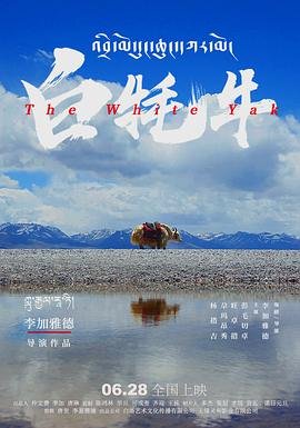 你看我的眼睛说歌曲