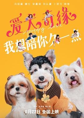 竹夫人百度网盘下载