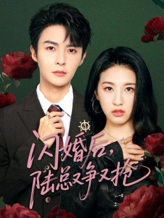 王菲《红豆》原唱歌词是什么