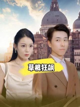 黑白森林20集在线观看