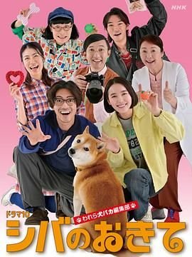 电视剧《轧戏》免费观看20集完整版