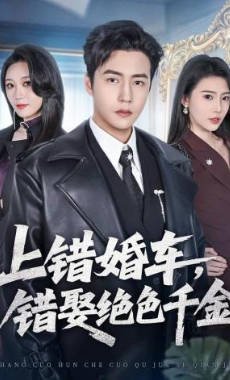 电影《天赐灵机》剧情介绍大全视频播放下载