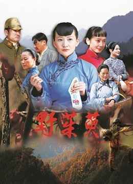 武林外传81集全集免费观看下载视频
