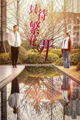 汪汪队立大功1季