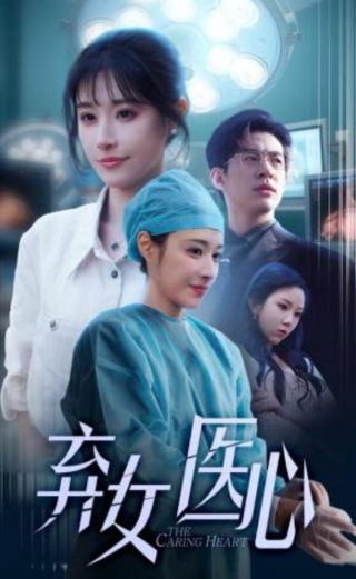 投资人英文