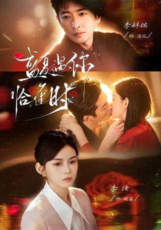 王宝强《棋士》解说视频在线观看免费版下载安装