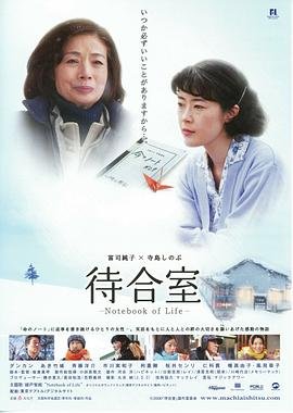 《桃源小县令》短剧在线观看正片