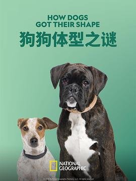 僵尸校园百度云网盘链接分享
