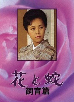 怪兽8号第十季百度网盘资源
