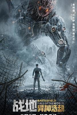 和平使命2014纪念章
