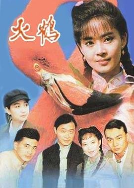 沉重的爱在哪看电视剧完整版免费