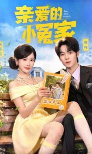 棒球英豪国语版普通话