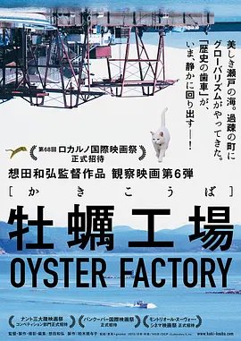 陈瑞《白狐》歌词翻译版图片大全集