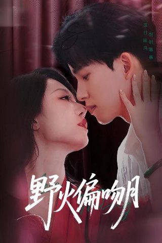 数码宝贝版同桌的你歌曲