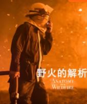 京剧白蛇传李炳淑游湖