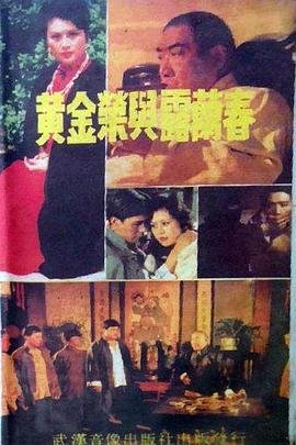 电视剧平原烽火1一40集全免费观看