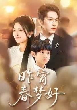 亲爱的翻译官电视剧免费播放下载