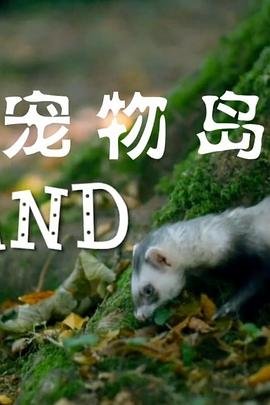 偷偷藏不住46集免费观看