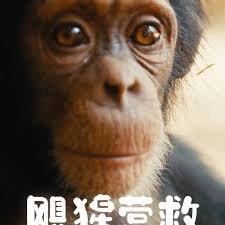 老友记第一季下载在线观看免费