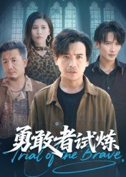 电视剧上海的早晨剧情介绍