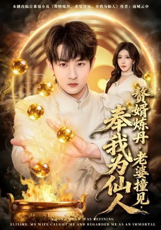 盲箭电视剧40集免费播放下载