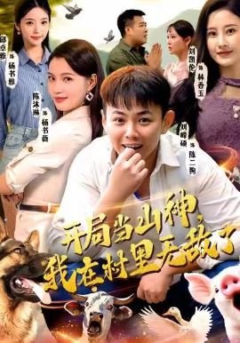 电视剧功勋33集